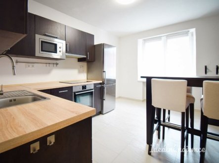 Pronájem bytu, 1+1, 48 m²