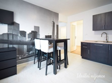 Pronájem bytu, 1+1, 48 m²