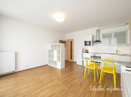 Pronájem bytu, 1+kk, 43 m² obrázek