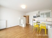 Pronájem bytu, 1+kk, 43 m²