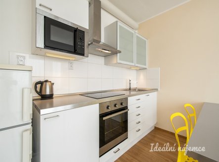 Pronájem bytu, 1+kk, 43 m²