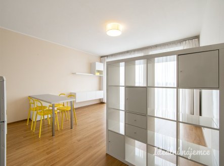 Pronájem bytu, 1+kk, 43 m²