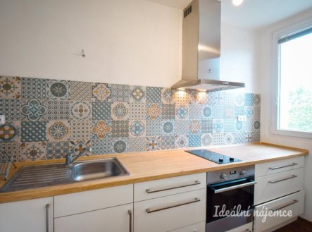 Pronájem bytu, 1+1, 29 m²