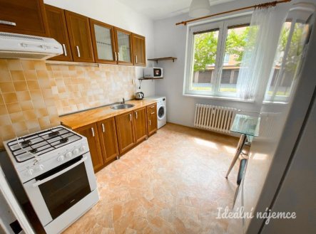 Pronájem bytu, 1+1, 39 m²