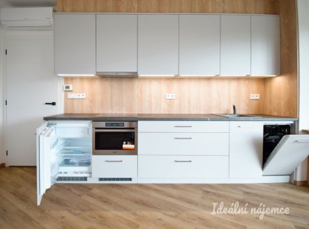 Pronájem bytu, 1+kk, 51 m²