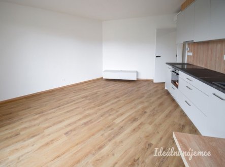 Pronájem bytu, 1+kk, 51 m²
