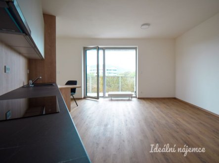 Pronájem bytu, 1+kk, 51 m²