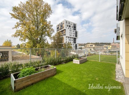 Pronájem bytu, 2+kk, 46 m² obrázek