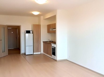 Pronájem bytu, 1+kk, 38 m² obrázek
