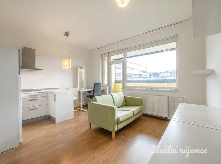 Pronájem bytu, 1+kk, 33 m²