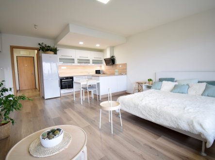 Pronájem bytu, 1+kk, 41 m²
