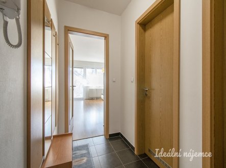 Pronájem bytu, 1+kk, 42 m²