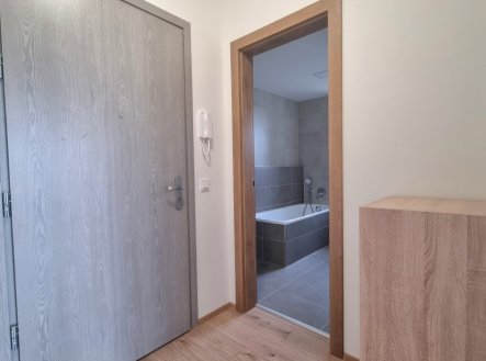 Pronájem bytu, 1+kk, 41 m²
