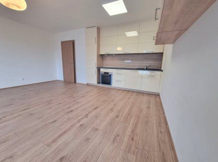 Pronájem bytu, 1+kk, 41 m²