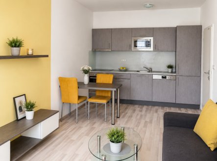 Pronájem bytu, 2+kk, 42 m²