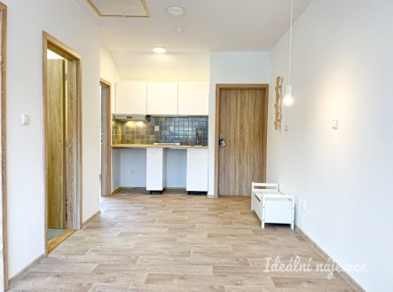 Pronájem bytu, 3+kk, 36 m²