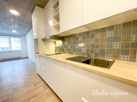 Pronájem bytu, 1+kk, 33 m²