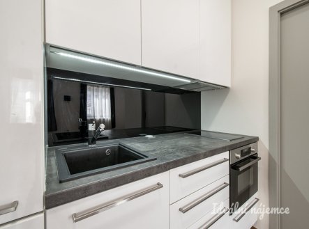 Pronájem bytu, 1+kk, 47 m²