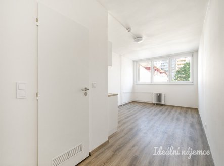 Pronájem bytu, 1+kk, 24 m²