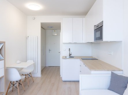 Pronájem bytu, 1+kk, 18 m² obrázek