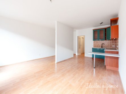 Pronájem bytu, 1+kk, 47 m²