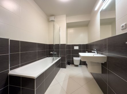 Pronájem bytu, 2+kk, 54 m²