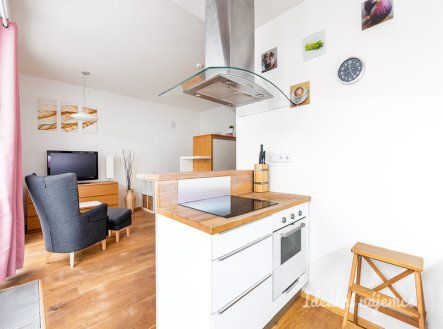 Pronájem bytu, 1+kk, 47 m²