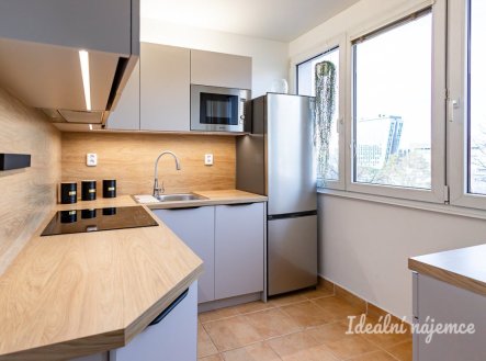 Pronájem bytu, 2+1, 49 m²
