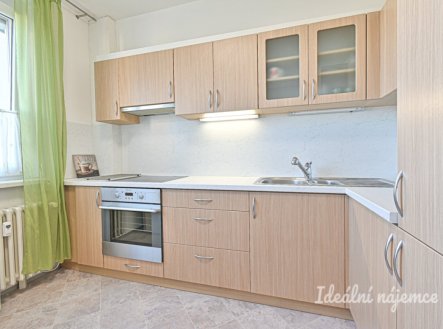 Pronájem bytu, 1+1, 41 m²