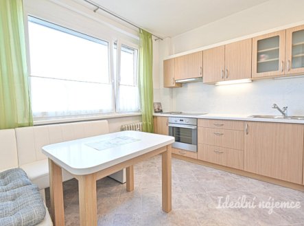 Pronájem bytu, 1+1, 41 m²