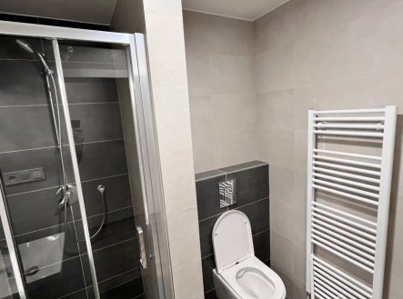 Pronájem bytu, 1+kk, 32 m²
