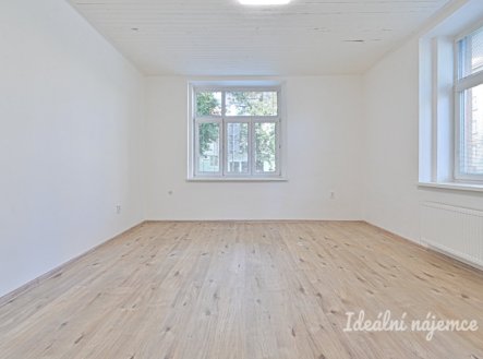 Pronájem bytu, 1+1, 43 m²
