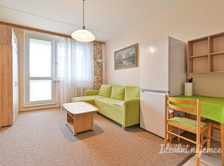 Pronájem bytu, 1+kk, 24 m²