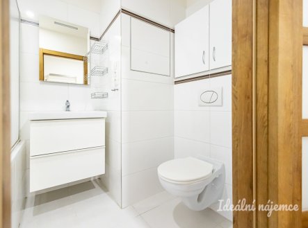 Pronájem bytu, 2+1, 55 m²