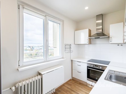 Pronájem bytu, 2+1, 55 m²