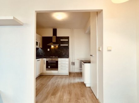 Pronájem bytu, 2+1, 54 m²