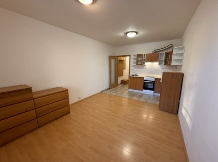 Pronájem bytu, 1+kk, 26 m²