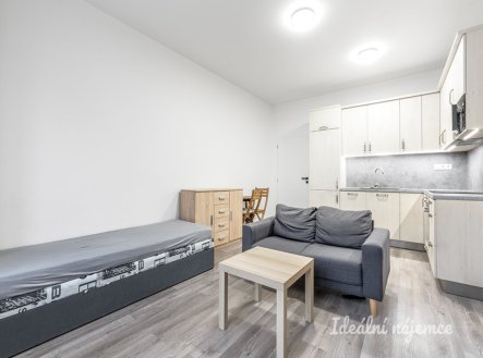 Pronájem bytu, 1+kk, 29 m²