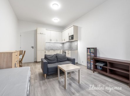Pronájem bytu, 1+kk, 29 m²