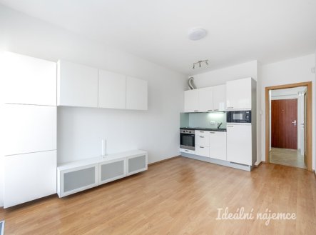 Pronájem bytu, 1+kk, 30 m²