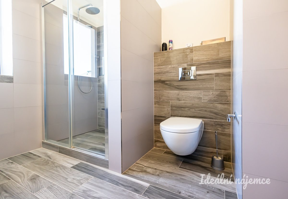 Pronájem bytu 3+kk, Albertova, Pražské Předměstí, 19.000 Kč/měs, 55 m2