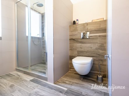 Pronájem bytu, 3+kk, 55 m²