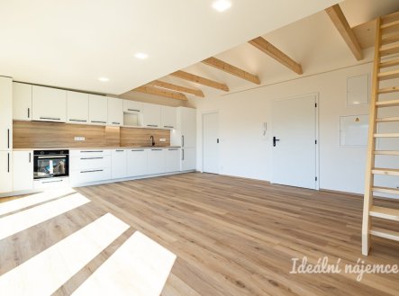 Pronájem bytu, 3+kk, 55 m²