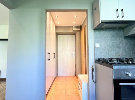 Pronájem bytu, 1+1, 29 m²