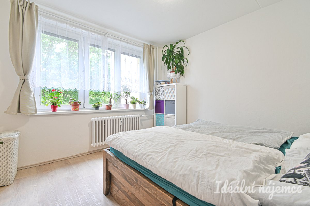 Podnájem bytu 3+1, Molákova, Líšeň,  24.490 Kč/měs, 73 m2