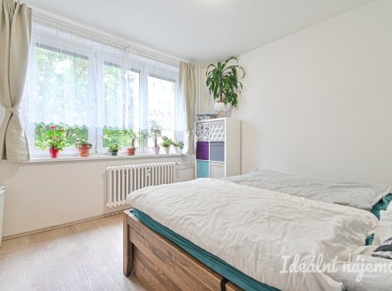 Pronájem bytu, 3+1, 73 m²