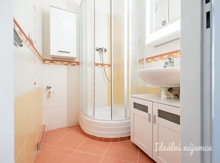 Pronájem bytu, 2+kk, 42 m²