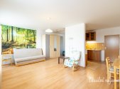 Pronájem bytu, 1+kk, 47 m²