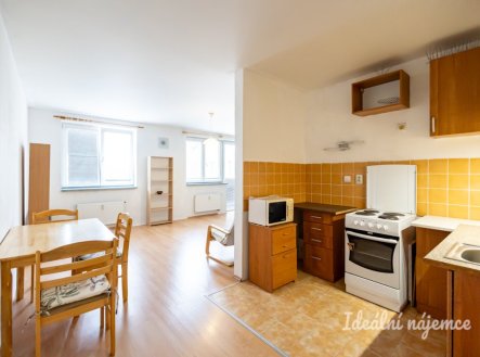 Pronájem bytu, 1+kk, 47 m²