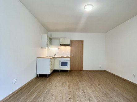 Pronájem bytu, 1+kk, 27 m²